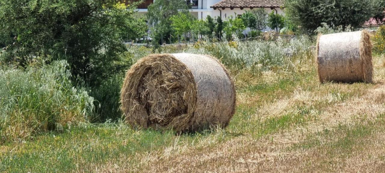 Masseria Milu' Siponto Eksteriør billede